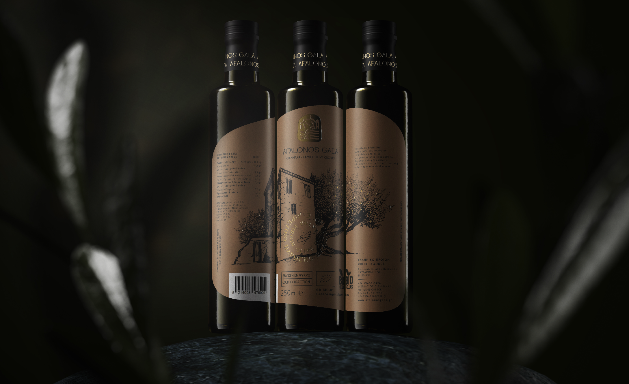 ΑΦΑΛΩΝΟΣ ΓΑΙΑ 1